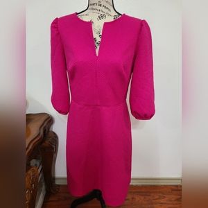 LAUREN RALPH LAUREN  BLACK LABEL  DRESS SIZE 6 JACQUARD BALLON SLEEVE .